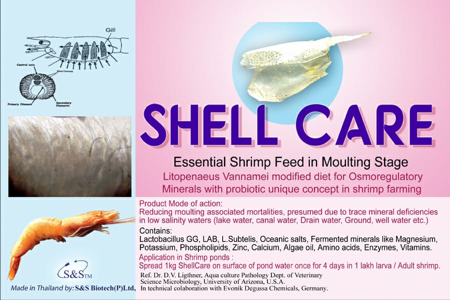 shellcare